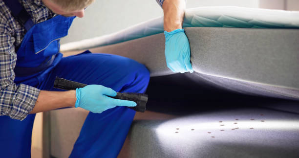 Best Pest Inspection Near Me  in Sewell, NJ