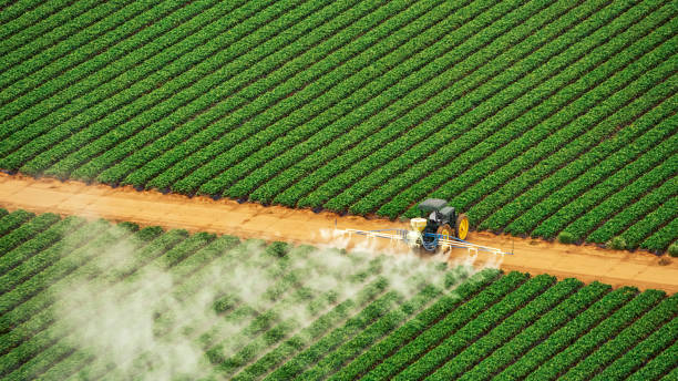 Best Commercial Pest Control Services  in Sewell, NJ