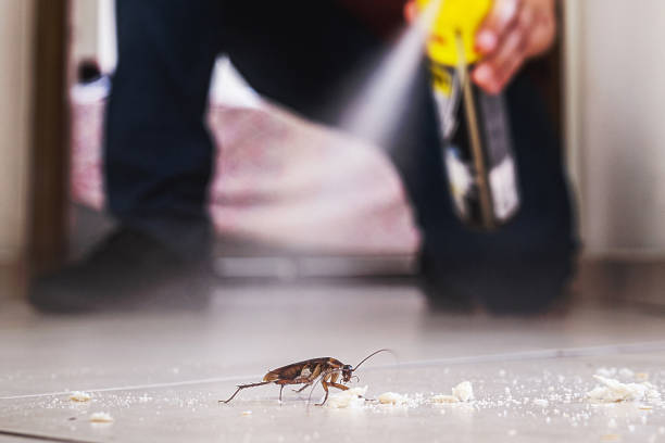Wasp Removal Services in Sewell, NJ